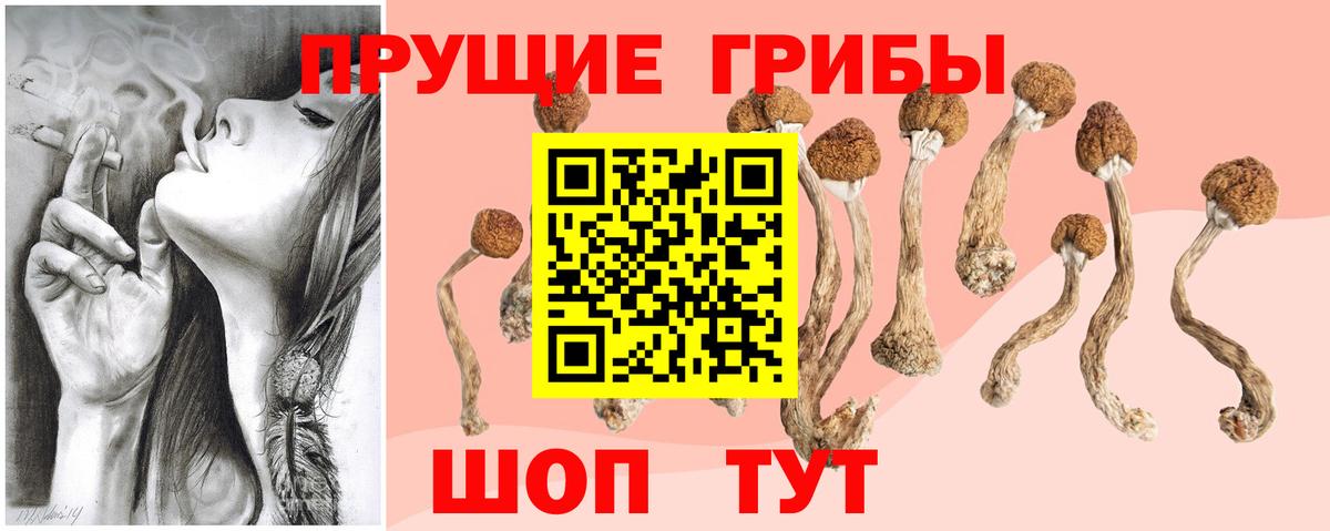 Галлюциногенные грибы прущие грибы  Галлюциногенные грибы ЛСД  где продают наркотики  Вход с VPN  Железноводск 